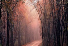 2024年马德里竞技的球员阵容有哪些亮点与变化？