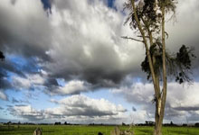 如何快速查询今日竞彩篮球开奖结果？