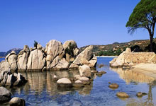 里卡多·罗查是谁？他有着怎样的职业与人生轨迹？